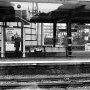 Ashford